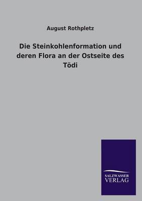 Die Steinkohlenformation Und Deren Flora an Der Ostseite Des Todi (Paperback)
