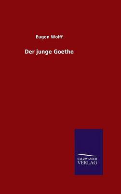 Der Junge Goethe (Hardback)
