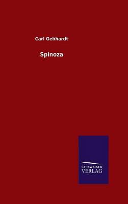 Spinoza (Hardback)