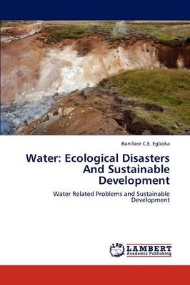 Water: Ecological Disasters and Sustainable Development (Paperback)