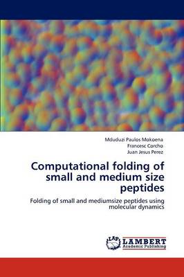 Computational Folding of Small and Medium Size Peptides (Paperback)