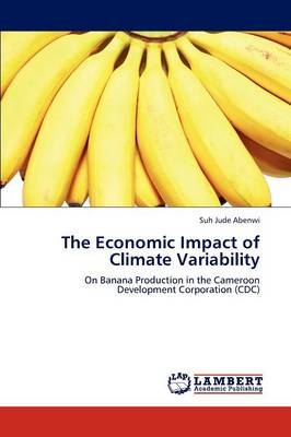 The Economic Impact of Climate Variability (Paperback)