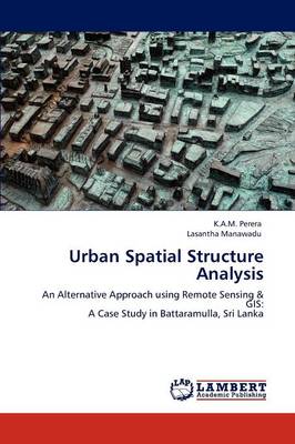 Urban Spatial Structure Analysis (Paperback)
