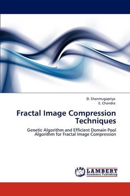 Fractal Image Compression Techniques (Paperback)