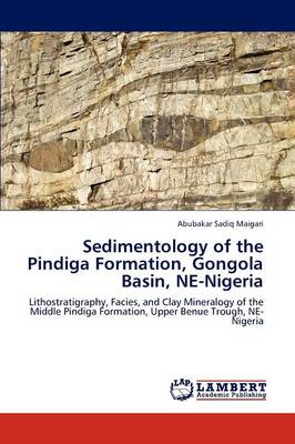 Sedimentology of the Pindiga Formation, Gongola Basin, Ne-Nigeria (Paperback)