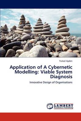 Application of a Cybernetic Modelling: Viable System Diagnosis (Paperback)