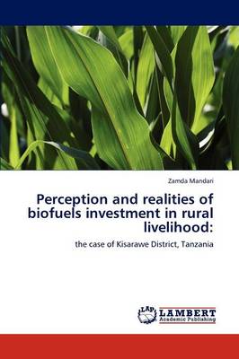 Perception and Realities of Biofuels Investment in Rural Livelihood (Paperback)