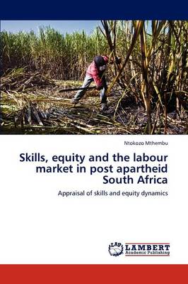 Skills, Equity and the Labour Market in Post Apartheid South Africa (Paperback)