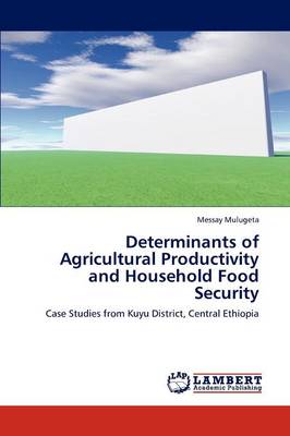 Determinants of Agricultural Productivity and Household Food Security (Paperback)