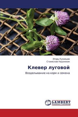 Klever Lugovoy (Paperback)