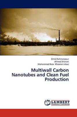 Multiwall Carbon Nanotubes and Clean Fuel Production (Paperback)