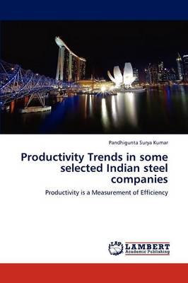 Productivity Trends in Some Selected Indian Steel Companies (Paperback)
