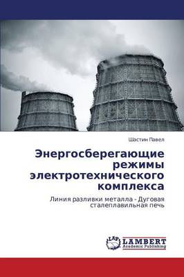 Energosberegayushchie Rezhimy Elektrotekhnicheskogo Kompleksa (Paperback)
