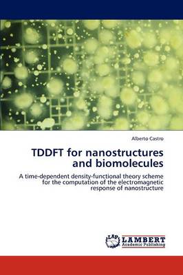 Tddft for Nanostructures and Biomolecules (Paperback)