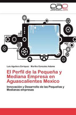 El Perfil de La Pequena y Mediana Empresa En Aguascalientes Mexico (Paperback)