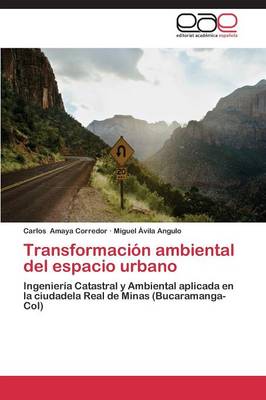 Transformacion Ambiental del Espacio Urbano (Paperback)
