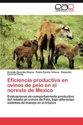 Eficiencia Productiva En Ovinos de Pelo En El Noreste de Mexico (Paperback)