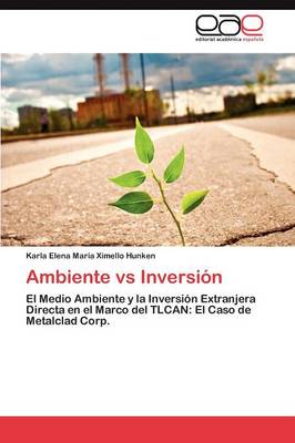 Ambiente Vs Inversion (Paperback)