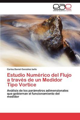 Estudio Numerico del Flujo a traves de un Medidor Tipo Vortice (Paperback)