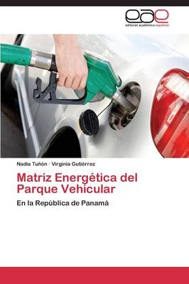 Matriz Energetica del Parque Vehicular (Paperback)