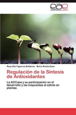 Regulacion de La Sintesis de Antioxidantes (Paperback)