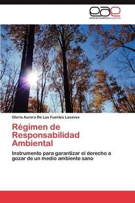 Regimen de Responsabilidad Ambiental (Paperback)