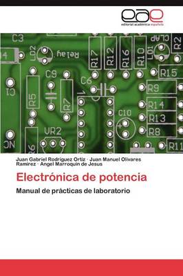 Electronica de Potencia (Paperback)