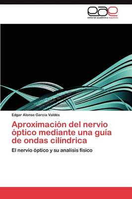 Aproximacion del Nervio Optico Mediante Una Guia de Ondas Cilindrica (Paperback)