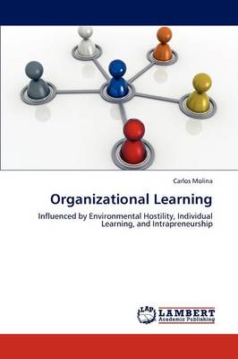 Organizational Learning (Paperback)