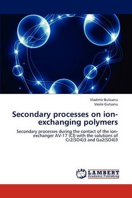 Secondary Processes on Ion-Exchanging Polymers (Paperback)