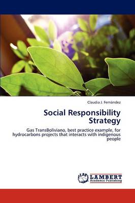 Social Responsibility Strategy (Paperback)