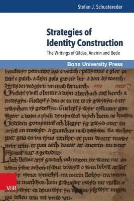 Strategies of Identity Construction: The Writings of Gildas, Aneirin and Bede - Super Alta Perennis. Studien Zur Wirkung der Klassischen Ant 18 (Hardback)