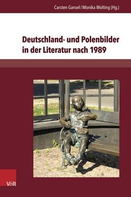 Deutschland- Und Polenbilder in Der Literatur Nach 1989 (Hardback)