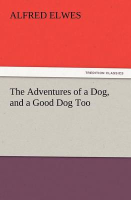 The Adventures of a Dog, and a Good Dog Too (Paperback)