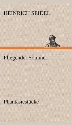 Fliegender Sommer (Hardback)