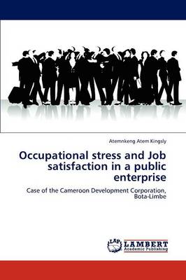 Occupational Stress and Job Satisfaction in a Public Enterprise (Paperback)