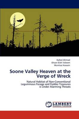 Soone Valley Heaven at the Verge of Wreck (Paperback)