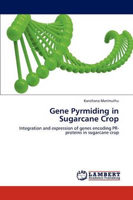 Gene Pyrmiding in Sugarcane Crop (Paperback)