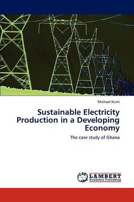 Sustainable Electricity Production in a Developing Economy (Paperback)