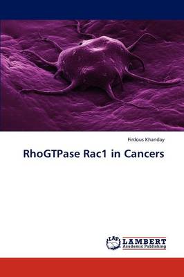 Rhogtpase Rac1 in Cancers (Paperback)