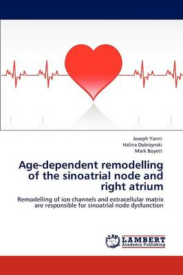 Age-Dependent Remodelling of the Sinoatrial Node and Right Atrium (Paperback)