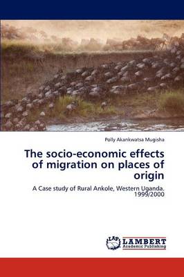 The Socio-Economic Effects of Migration on Places of Origin (Paperback)