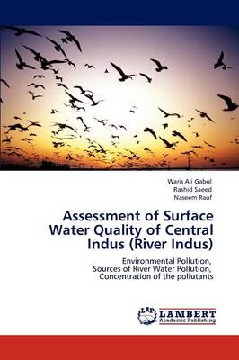 Assessment of Surface Water Quality of Central Indus (River Indus) (Paperback)