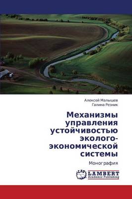 Mekhanizmy Upravleniya Ustoychivost'yu Ekologo-Ekonomicheskoy Sistemy (Paperback)
