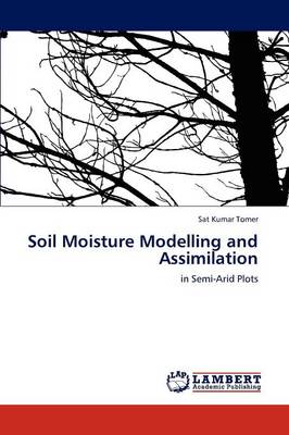 Soil Moisture Modelling and Assimilation (Paperback)