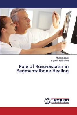 Role of Rosuvastatin in Segmentalbone Healing (Paperback)