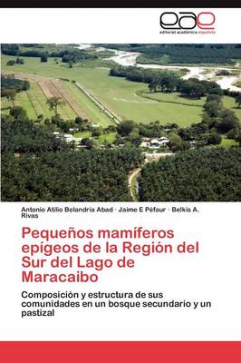 Peque os Mam feros Ep geos de la Regi n del Sur del Lago de Maracaibo (Paperback)