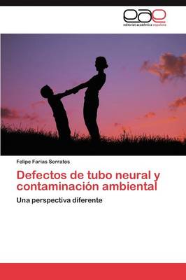 Defectos de Tubo Neural y Contaminacion Ambiental (Paperback)