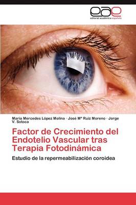 Factor de Crecimiento del Endotelio Vascular Tras Terapia Fotodinamica (Paperback)