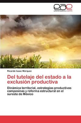 del Tutelaje del Estado a la Exclusion Productiva (Paperback)